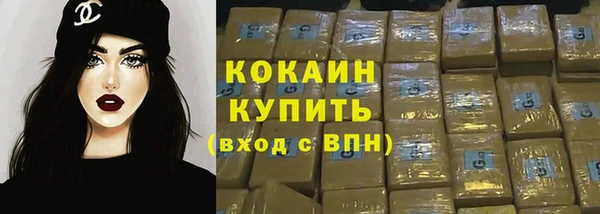 соль ск Абаза
