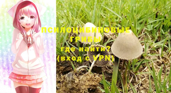бутират Абинск