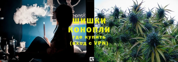 соль ск Абаза